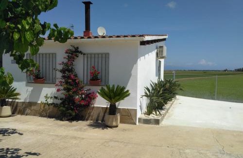 Deltebre House | Caseta del Chato