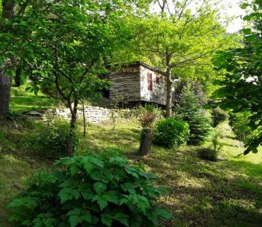 Bossolasco House | Casetta-Felicita