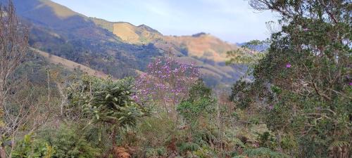 Sao Jose dos Campos Ski Chalet | Casinha