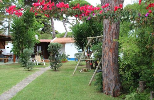Banzao House | Casinha do pinhal