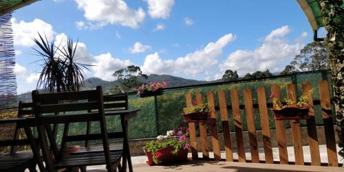 Barcelos House | Casinhas de Medros