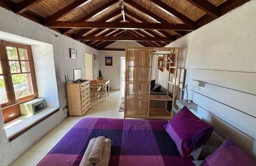 Valle Gran Rey House | Casita El Molino im grünen Valle Gran Rey