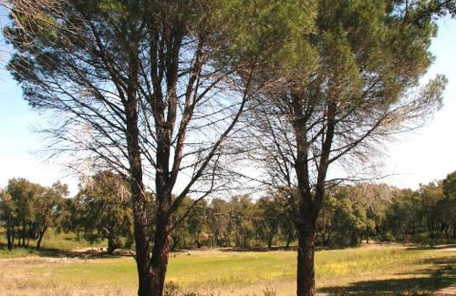Masarac House | Casita en la Naturaleza