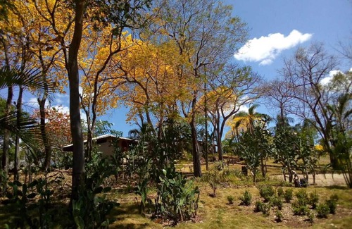 Playa Grande House | Casita Linda Vista/ Steps To Beach/Peaceful & Private/Fully Equipped
