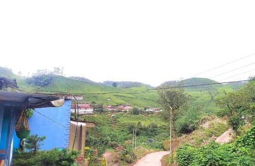 Nullatanni House | Casper Cottage Munnar