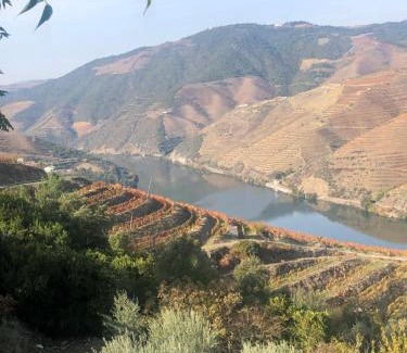 Adorigo House | Castas do Douro