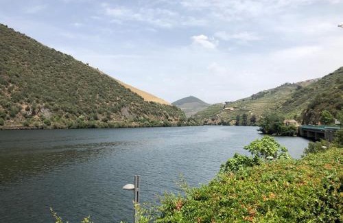 Adorigo House | Castas do Douro