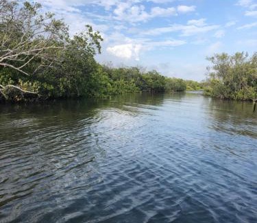 New Port Richey House | Castaway on Treasure Island NPR