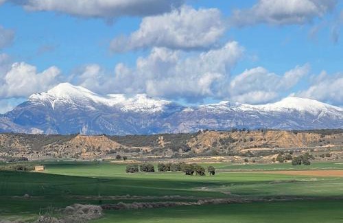Albero Alto Bed & Breakfast | Castillo de Corvinos
