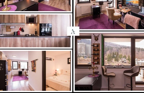 Sinaia Apartment | Castle Suite art design- mountain view and private parking