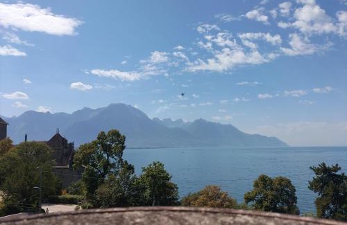 Veytaux Hotel | Castle view by MK
