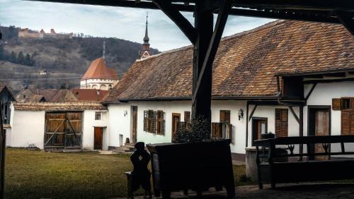 Saschiz House | Castle View Holiday House