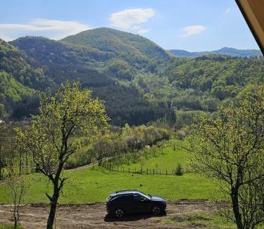 Patarlagele Other | Casuța din Colți