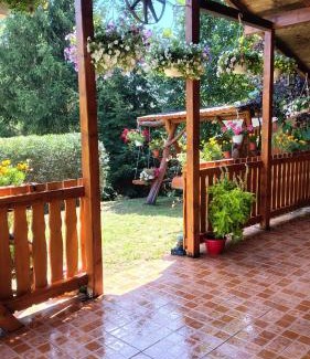 Ciugud House | Casuta cu Brazi