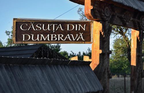 Ocna Sugatag House | Casuta din dumbrava