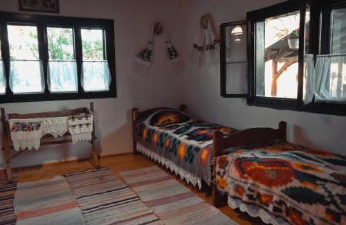 Ocna Sugatag House | Casuta din dumbrava