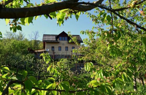 Calimanesti House | Casuta din Padure