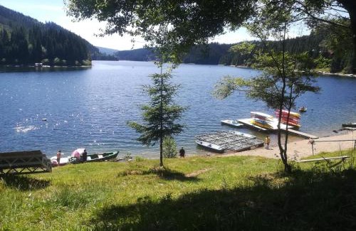 Risca Ski Chalet | Casuta dintre brazi