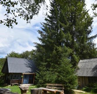 Risca Ski Chalet | Casuta dintre brazi
