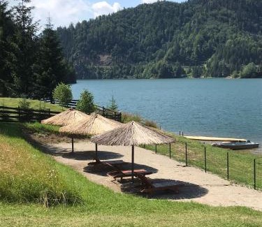 Bistrita Bargaului House | CASUTA LANGA LAC
