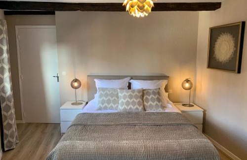 Albi Apartment | Cathédrale Appart