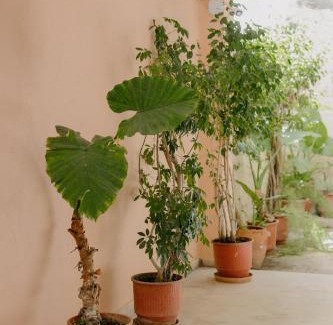 Corfu Town Apartment | Catherine's View