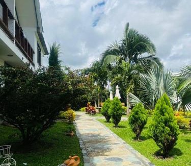 Quimbaya House | Cattleya tropical