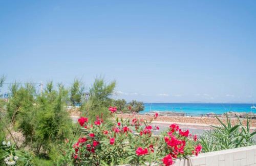 Es Calo Apartment | Cavall de Llevant - Formentera Break