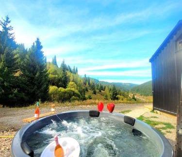 Iacobeni Other | Cazare Dom Pensiuni Vatra Dornei Bucovina cu Ciubar