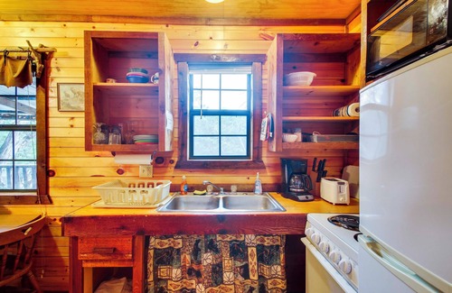 Davis Apartment | Cedar Falls Cabins #6: Hillside w/Views!
