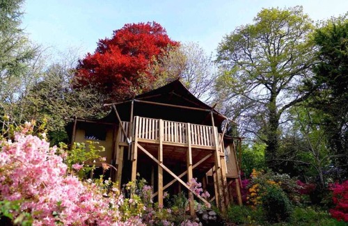 Kingsbridge Cabin | Cedar Lodge @ Lower Coombe Royal- with Hot Tub