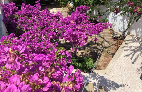 Lizzanello Apartment | Celi Blu - One Bedroom Apartment, Sleeps 3