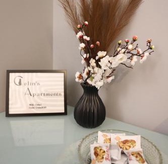 Trikala Apartment | Celin's Appartment