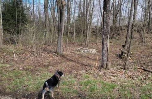 Freedom RV Rental | Celtic Glen Farm Stay - Henge Area An