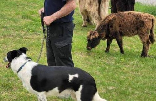 Freedom RV Rental | Celtic Glen Farm Stay - Quarry Siten