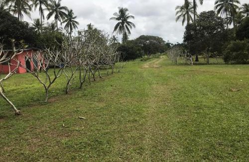 Sematan Cabin | Cempaka Lodge