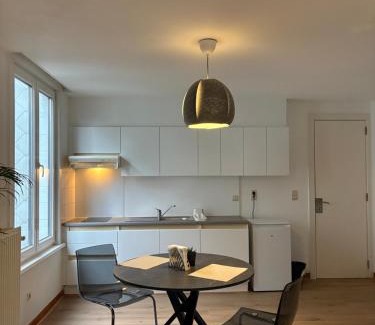 Red Light District Apartment | Center Monet JR