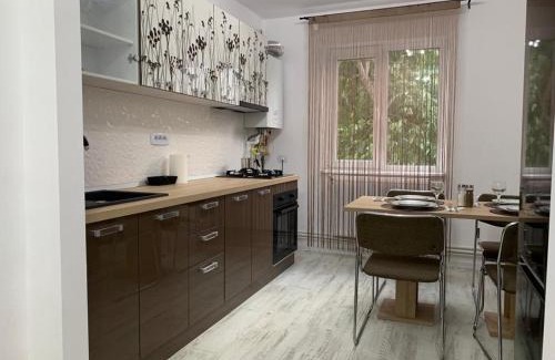 Bacau Apartment | Central Alexa Apartament