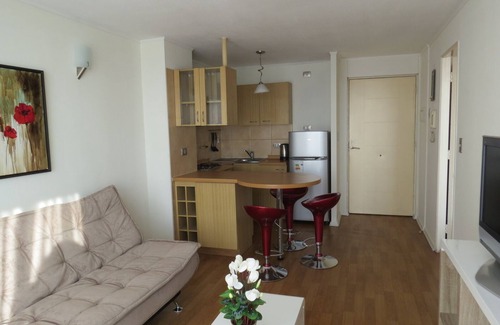Downtown Santiago Apartment | Central and cozy apartment near metro