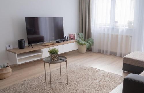 Kecskemet Apartment | Central Apartman, Belváros Lakás