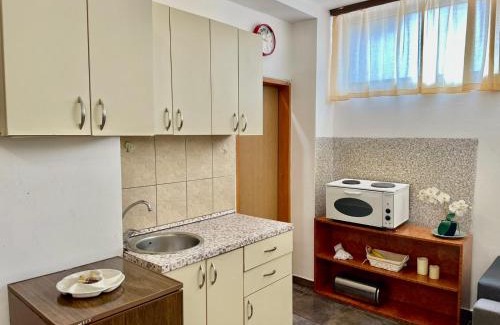 Rozino Apartment | Central apartment & Garden Budva