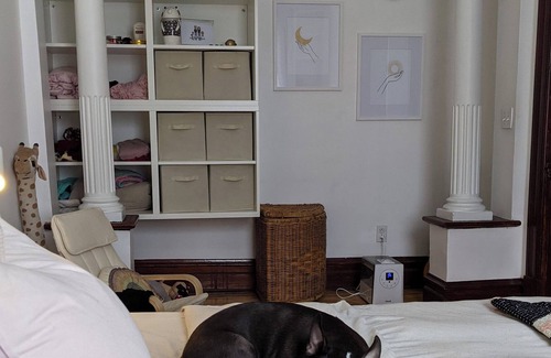 Sainte-Marie Apartment | Central Designer Apartment in Montreal