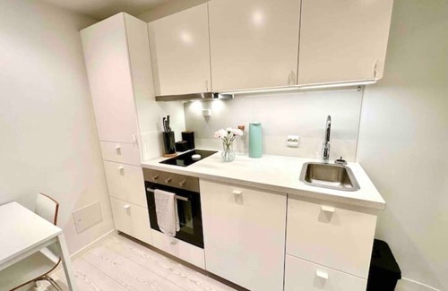 Tromso Apartment | Central Gem: 2 Elektriske Biler, 2/3 Bdrm Familievennlig Tromsø Apt
