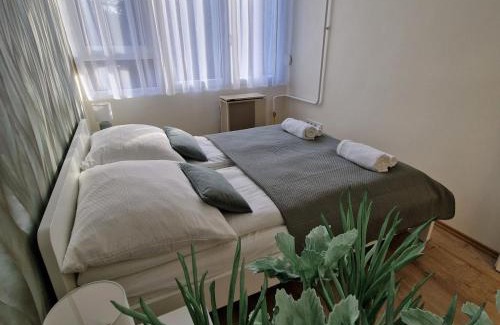 Debrecen Apartment | Central Greatforest Apartman 2