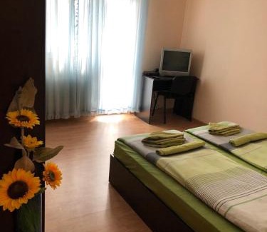 Blagoevgrad Apartment | Central House