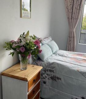 Oamaru House | Central located new build 3 bed rooms entire house