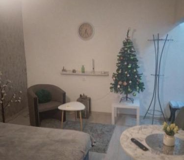 Downtown Apartment | Central