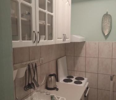 Downtown Apartment | Central