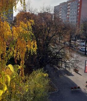 Tirgu Mures Apartment | Central Panorama