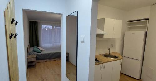 Tirgu Mures Apartment | Central Panorama